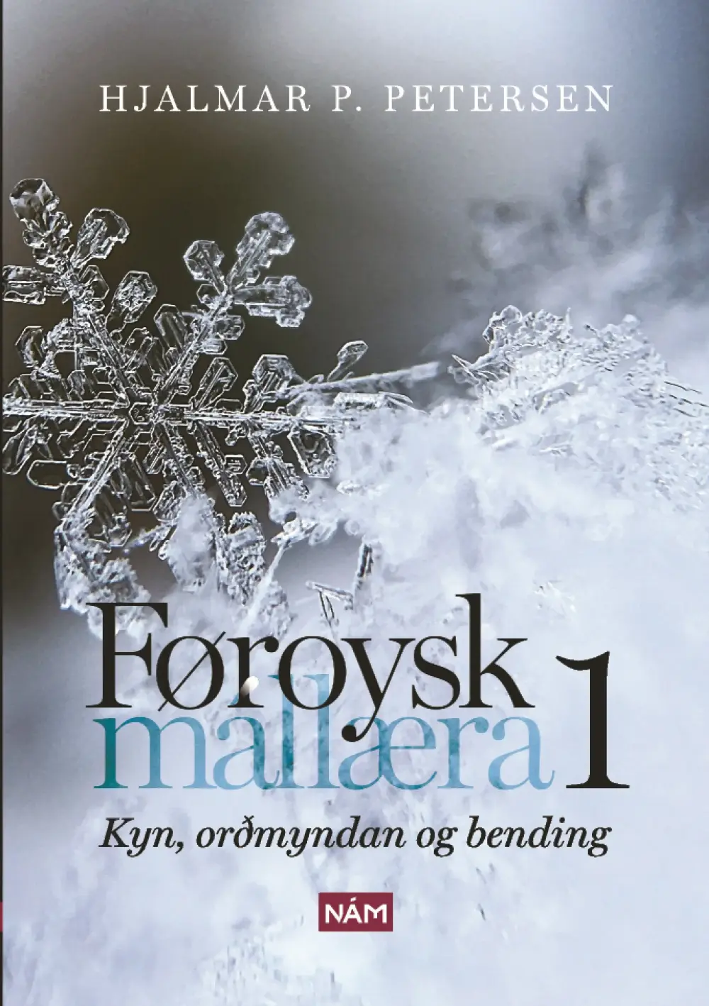 Føroysk mállæra 1 (20)