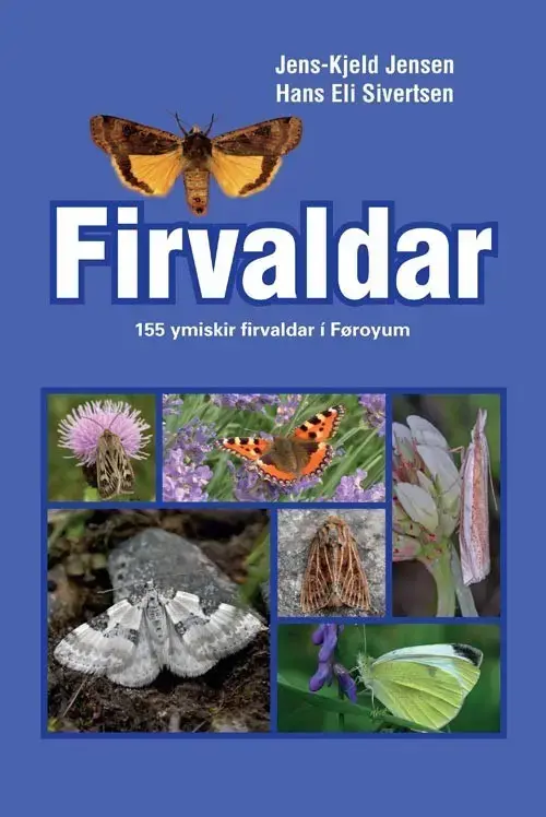 Firvaldar