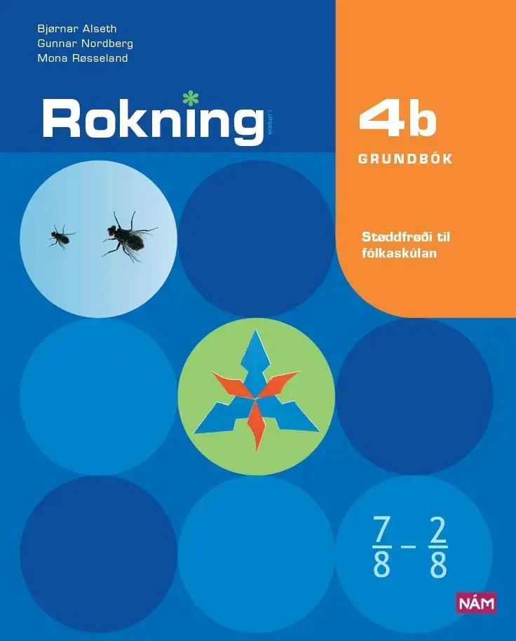 Rokning 4b, Grundbók