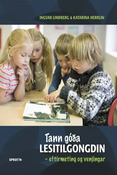 Tann góða lesitilgongdin