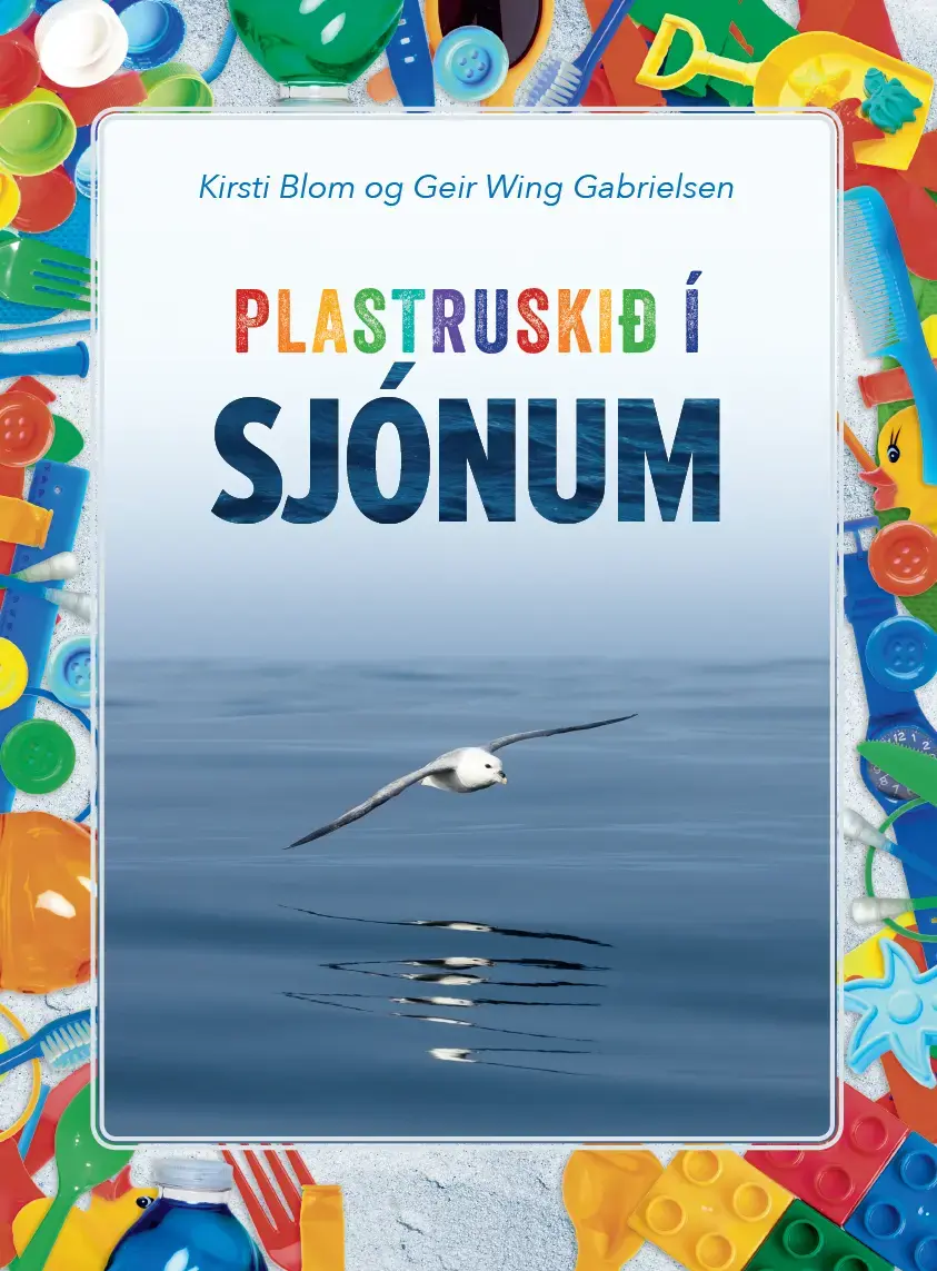 Plastruskið í sjónum (19)