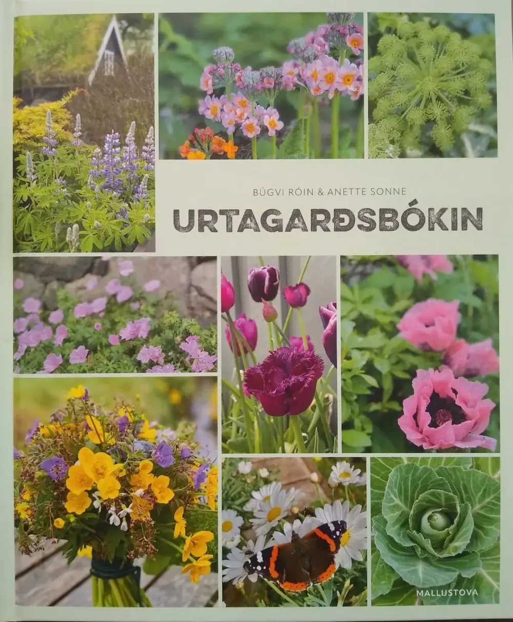 Urtagarðsbókin (13)