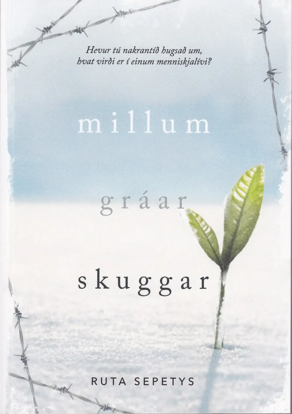 Millum gráar skuggar (22)