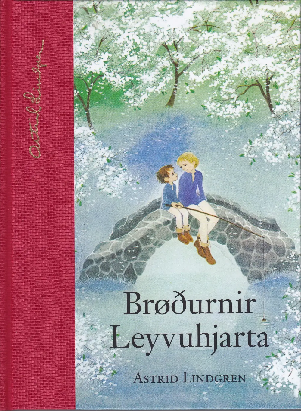 Brøðurnir Leyvuhjarta (13)