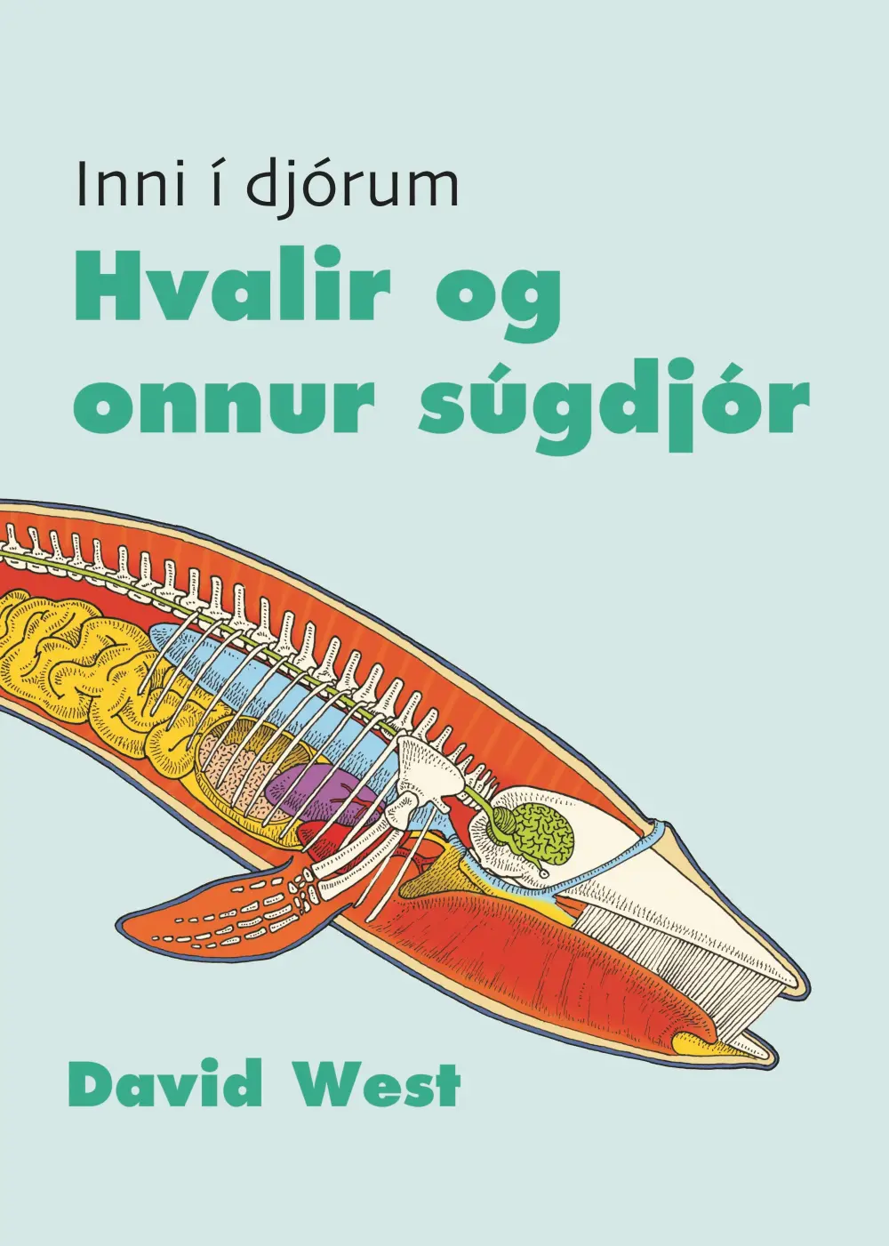 Inni í djórum - Hvalir og onnur súgdjór