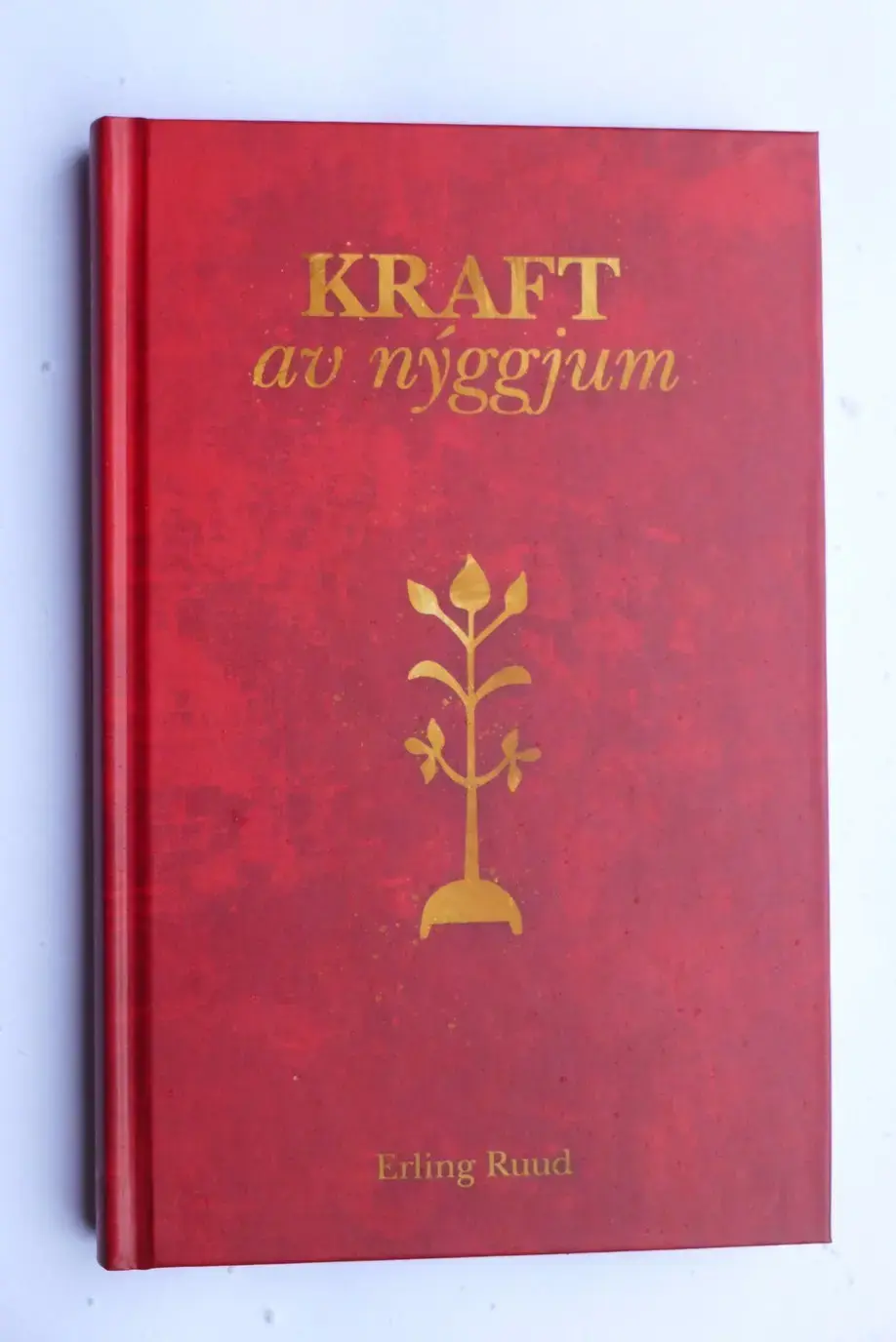 Kraft av nýggjum (26)