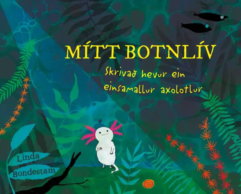 Mítt Botnlív